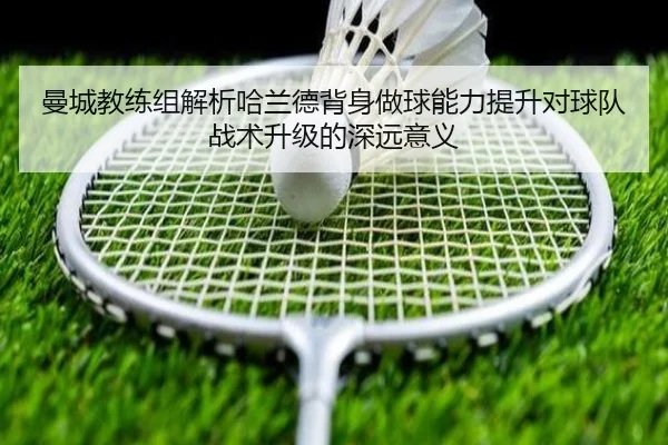 img_1782163694493_2839_1_695.jpg