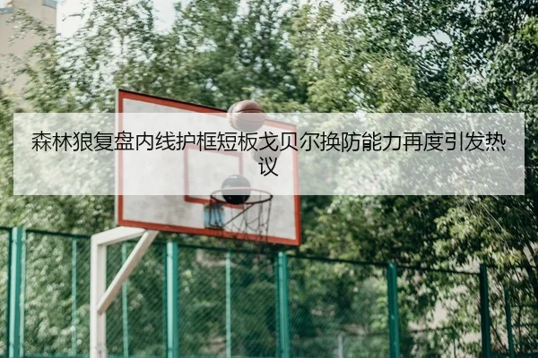 森林狼复盘内线护框短板戈贝尔换防能力再度引发热议