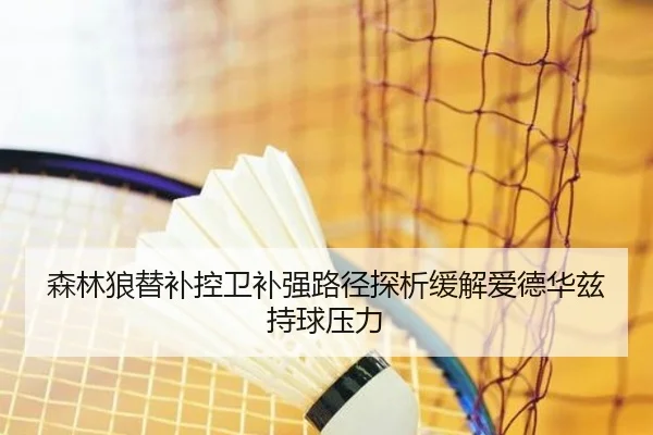 森林狼替补控卫补强路径探析缓解爱德华兹持球压力